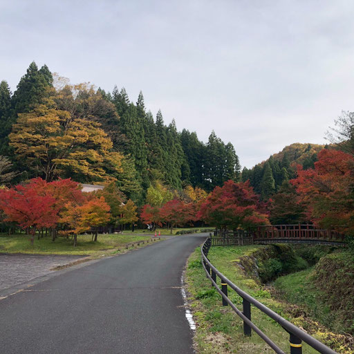 麒麟山いこいの森公園