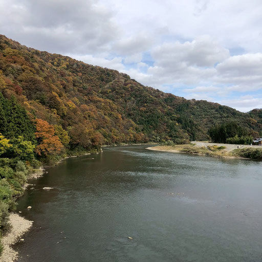 阿賀野川ライン(釣浜橋からの阿賀野川)