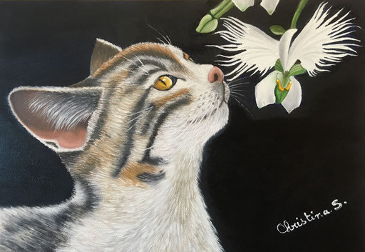 FLEUR OU OISEAU !!!
