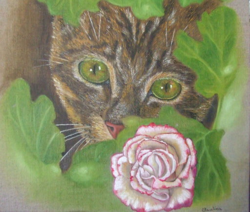 LA ROSE M'A DIT