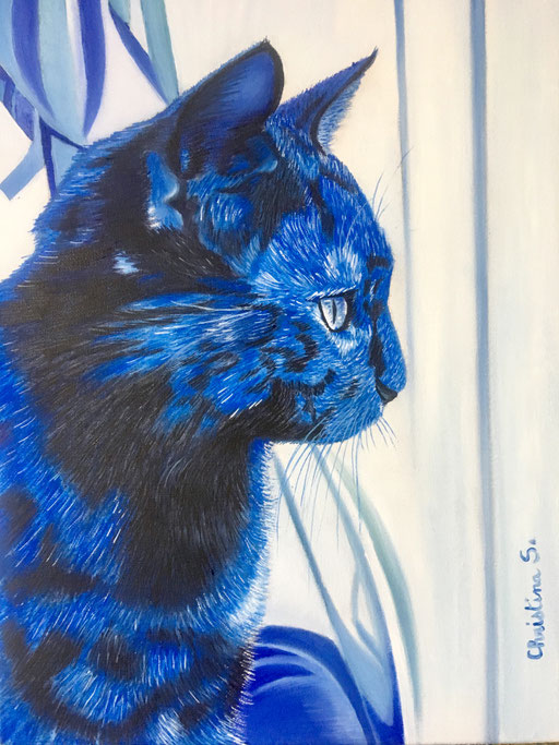 LE BLUES du CHAT 2