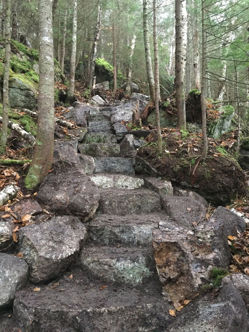The longest staircase on the trail
