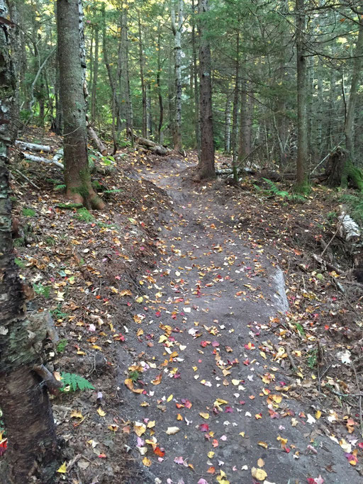 A finished section of benched trail