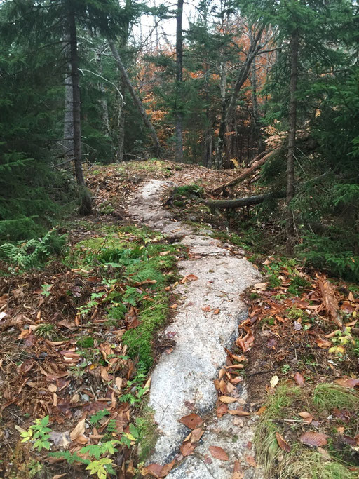 Some of the ridge walk section is on top of ledge