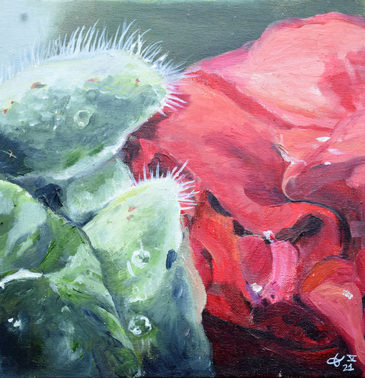 "Renouveau : Pavot" Huile sur toile 25x25 cm