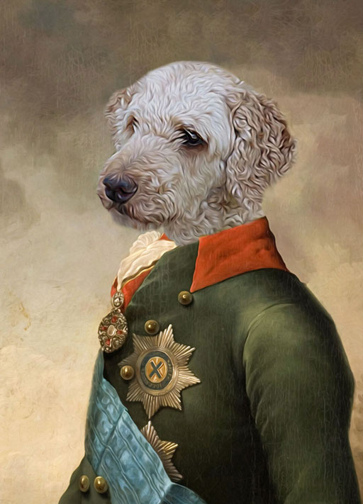 Lord Bailey