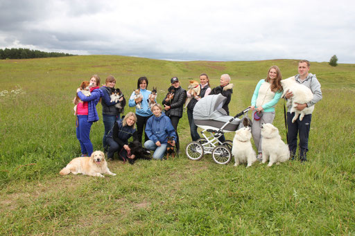 Курсинг, той-фокстерьер