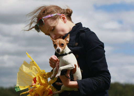 Первый Праздник той-фокстерьеров