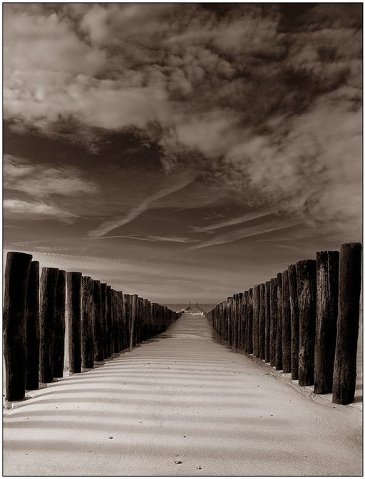 |||||||||||| (Domburg, NL)