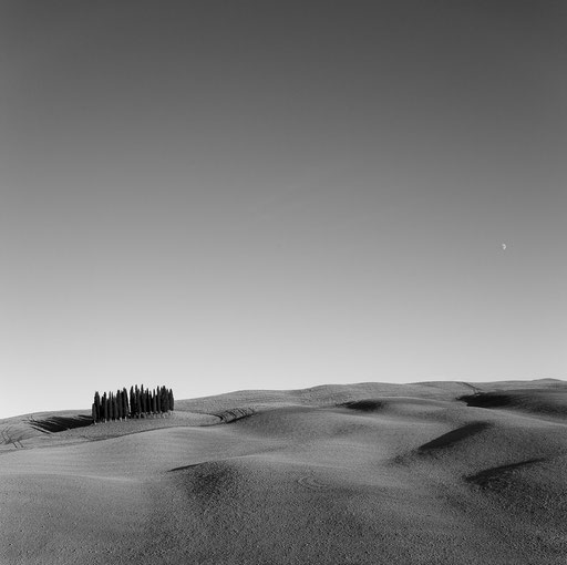 Toskana - Val d'Orcia I (monochrom)