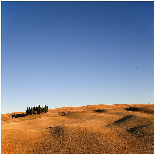 Val d' Orcia #1, Toskana