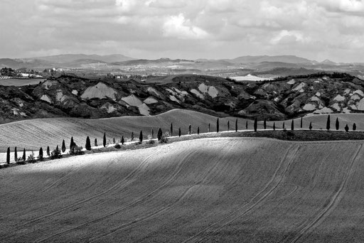 Toskana - Crete II (monochrom)