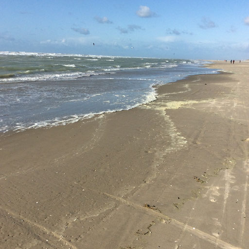 chambre d'hôte Belle Plage de la Villa en Baie sur le Crotoy en Baie de somme