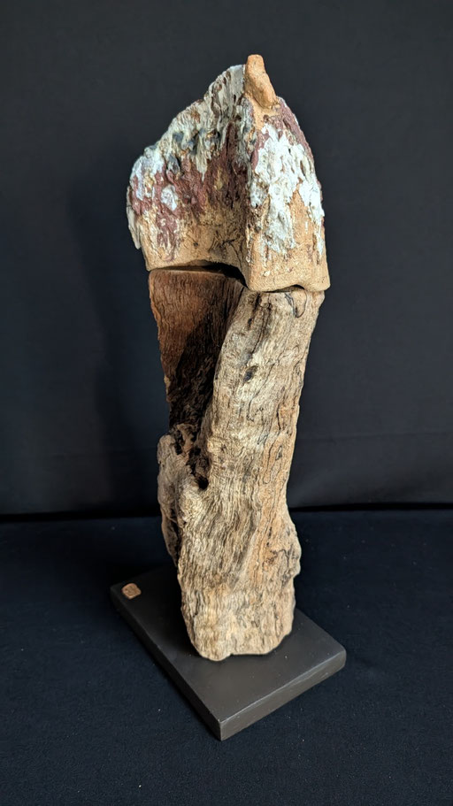 Petit pottok rupestre 1, grès, porcelaine et bois flotté, 11,5x18x41cm, 2026