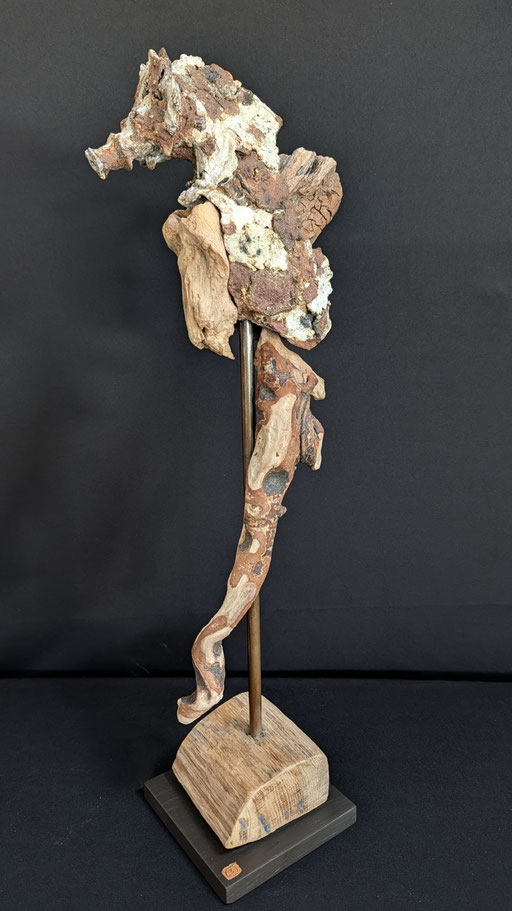 Grand hippocampe rupestre, grès, porcelaine et bois flotté, 15x23x69cm, 2026