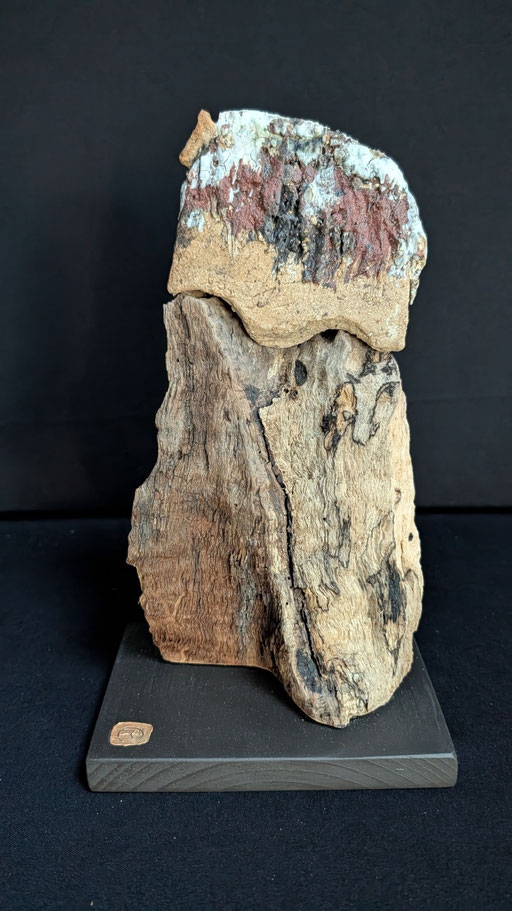 Petit pottok rupestre 2, grès, porcelaine et bois flotté, 10x15x28cm, 2026