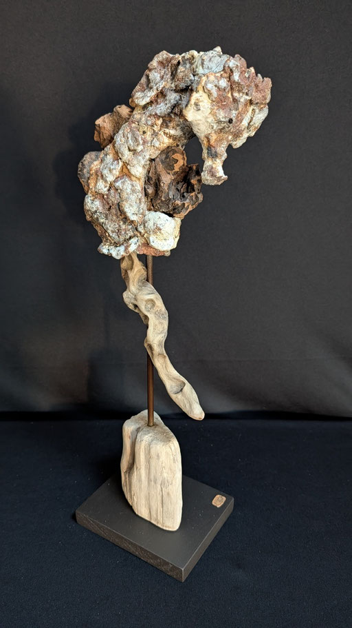 Petit hippocampe rupestre 2, grès, porcelaine et bois flotté, 10,5x13x44cm, 2026