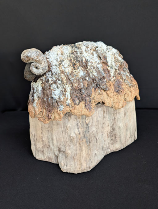 Grand bélier rupestre, grès, porcelaine et bois flotté, 32x19x32cm, 2026