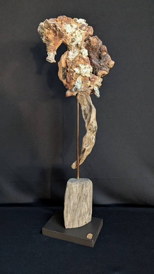 Petit hippocampe rupestre 1, grès, porcelaine et bois flotté, 9x14x49cm, 2026