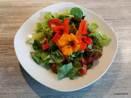 Gemischter Salat mit Kapuziner-Kresse