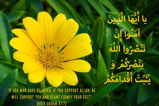 Photo & layout: Ali, Kuwait