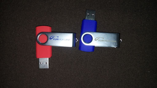 USB Floppy serigrafía
