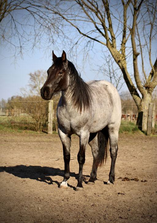 Elisa mit 2 Jahren 