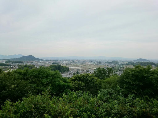 大和三山  左側 畝傍山 右側 耳成山