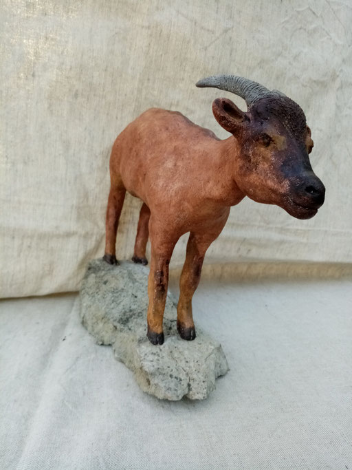 biquette