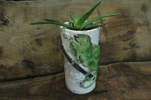 pot iguane