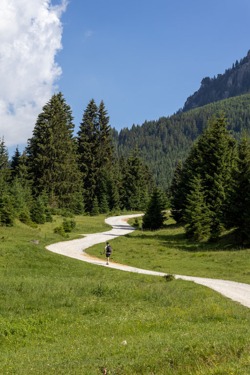 Ein geschwungener Wanderweg führt durch saftig grüne Almwiesen Richtung Bergwelt im Tannheimer Tal. Vom Wellnesshotel DER ENGEL ist die Tour zur Bad Kissinger Hütte ein beliebter Wandertipp für Naturliebhaber.