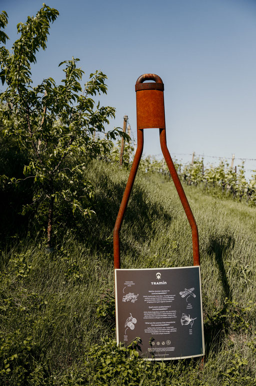 GEWÜRZTRAMINERWEG - Wandertipp: Weinwandern in Tramin an der Weinstrasse - Südtirol ©Marika Unterladstätter