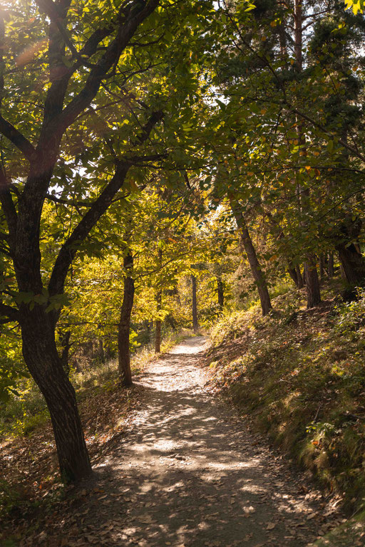 ON THE CHESTNUT TRAIL FROM FELDTHURNS TO KLAUSEN, Eisack Valley - South Tyrol ©Lena Sulzenbacher