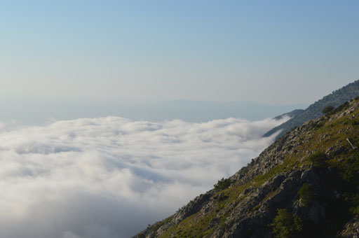 Früh am Morgen liegt die Insel noch etwas im Nebel