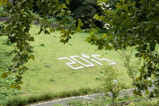 芝生に並べられたキャンドル　2015の文字