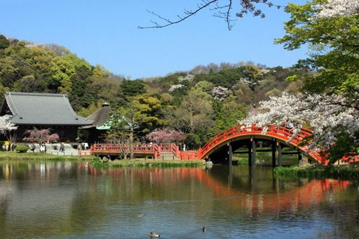 横浜　称名寺