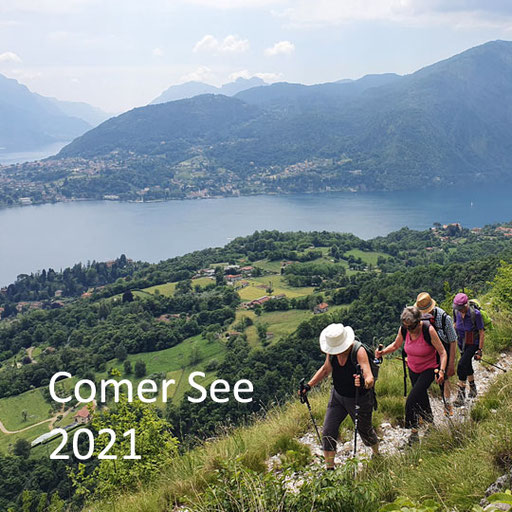 Comer See 2021