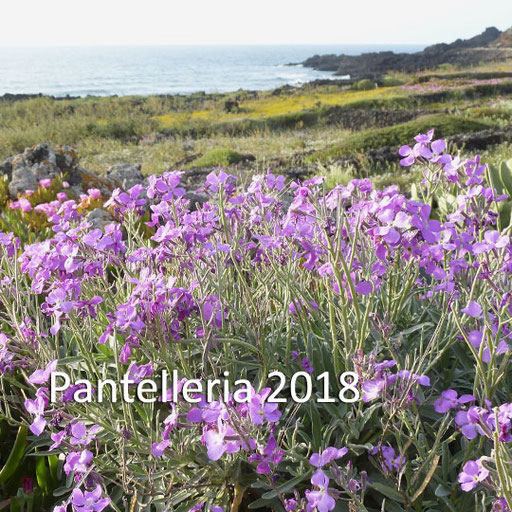 Pantelleria