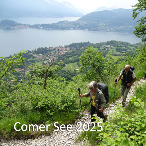 Comer See 2025