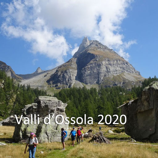 Valli d'Ossola 2020