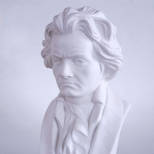 Beethoven Bust.