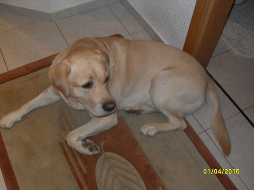 Sonny (Arkan)