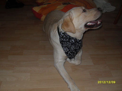Sonny (Arkan)