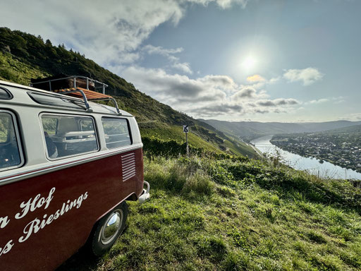 Die VW-Bullis machen sich in jeder Umgebung gut
