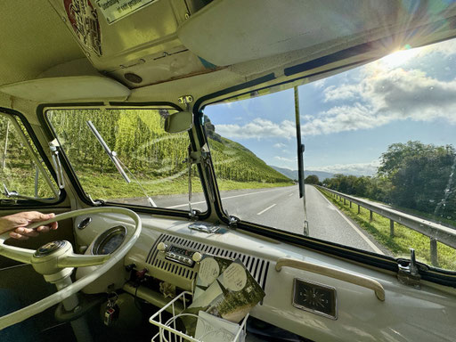 Die VW-Bullis machen sich in jeder Umgebung gut