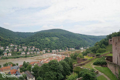 Blick auf Heidelberg und den Neckar