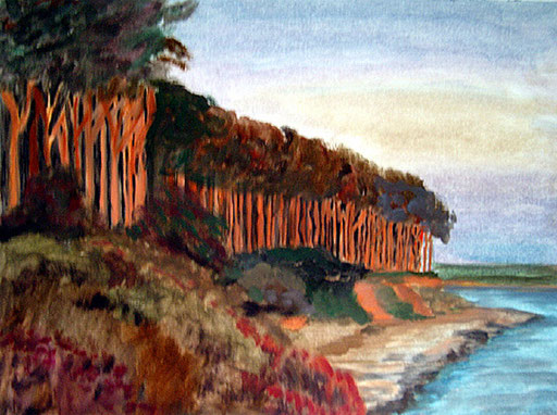 2002  Steilküste 30x40 Öl