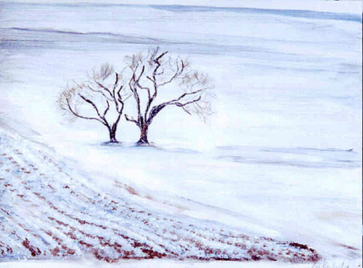 2006  Feld im Winter 27x36 Öl