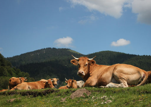 Payolle - Haute Vallée de l'Adour