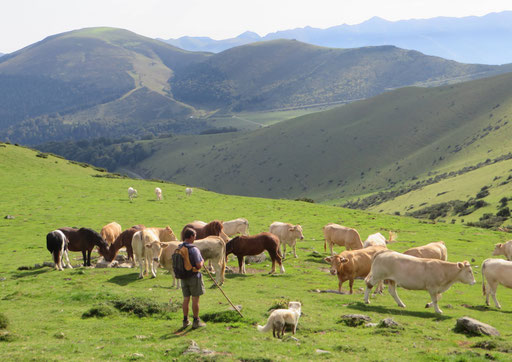 Aoubère - Haute Vallée de l'Adour